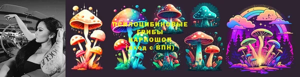 СК Струнино