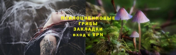 spice Архангельск