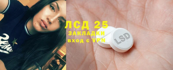 ешки Тайга