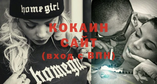 ешки Тайга