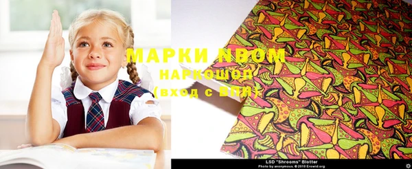 ешки Тайга