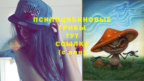 крисы Ступино