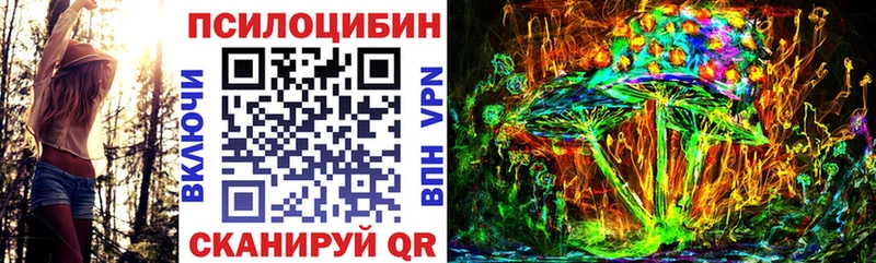 цены   Туран  даркнет официальный сайт  Галлюциногенные грибы мицелий 